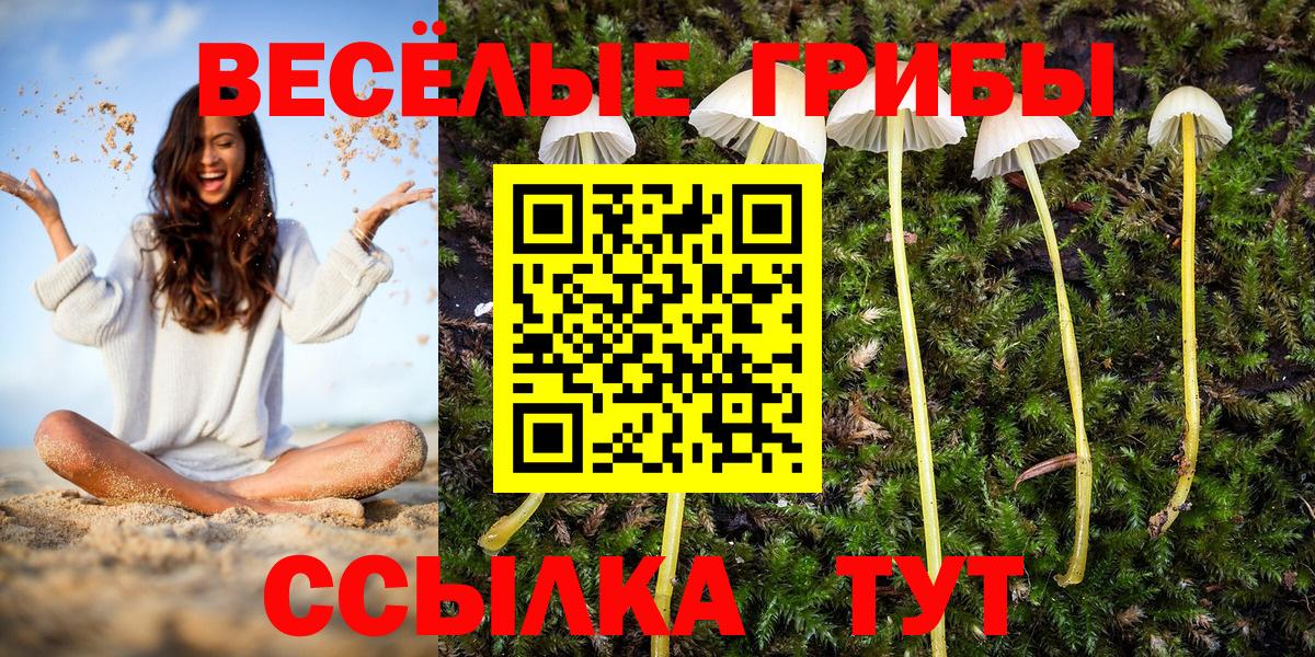 Новоалтайск  Псилоцибиновые грибы ЛСД  Вход с VPN 